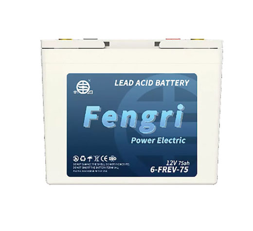 PIN ĐỘNG CƠ 6-FREV-75