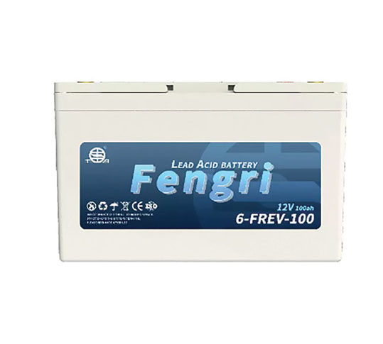 PIN ĐỘNG LỰC 6-FREV-100